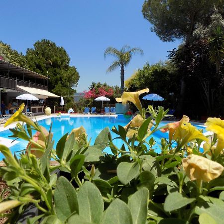 Lefkas Blue Hotel Nikiána Eksteriør bilde